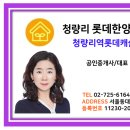 롯데사랑부동산공인중개사사무소 이미지