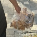 송림로82번길 34 | 전남 목포•남악카페 “커피창고” 에그타르트 웨이팅, 구매 꿀팁 총정리｜남악 커피창고 후기