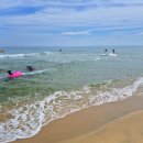 하조대해수욕장 야영장 | 하조대 해수욕장 파라솔 비용 후기 샤워