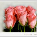 축복공인중개사사무소 이미지
