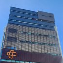 새빛약국 | 일산 새빛안과 노안교정 수술 후기 (+ 6개월)