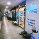 스파나무 금호점