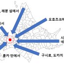 중앙도매시장 이미지