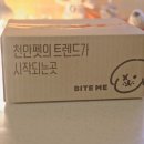 댕이맘마 이미지