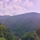 좌구산자연휴양림 이미지
