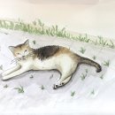 수채 드로잉 이미지