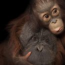 EFC PC ZONE 이미지