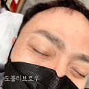 도블리브로우 이미지