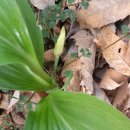 말미골농장 이미지