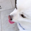 모니모니 이미지