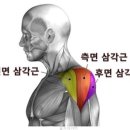 에이블짐 등촌역점 이미지