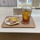 대전 도안동미용실 '아이디헤어' 천연염색 후기 인생염색 정착