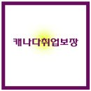 세계취업정보 이미지