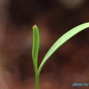 새야새야 이미지