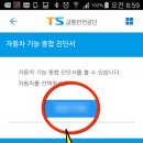 주정차019 티스토리