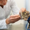 엔케어동물의료센터 이미지