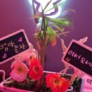 범아인테리어 이미지