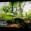 시인의정원펜션 이미지