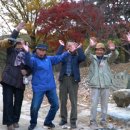 낙안농장 이미지