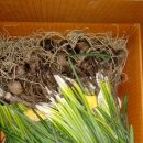 석산농장 이미지