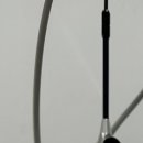 용봉위드치과의원 이미지