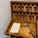 자라는 씨앗 이미지