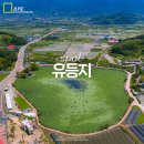 유등연지 | 대구 근교 나들이 청도 유등지 8경 유등연지 군자정