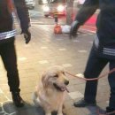 한성편의점 이미지