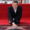 할리우드펫 이미지