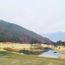 보라조경