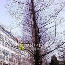 석목법조빌딩 이미지