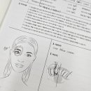 나예속눈썹