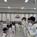 키즈태권도장 이미지