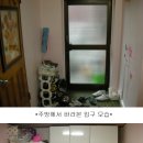 의정부 신곡동 2층 방2개 거실욕실 보500-월30 주차가능 예쁘다고 칭찬받은 핑크도배 이미지
