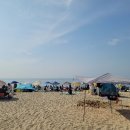 방아머리로 이미지