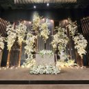 에일린 | 창원 웨딩홀 추천｜웨딩의전당 에일린홀 리뉴얼 후기