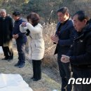 선영코리아 이미지