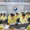 사각돼지 서울경제