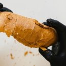 거니노룰즈 이미지