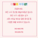 데일리공인중개사사무소 이미지