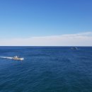 등기산스카이워크 이미지