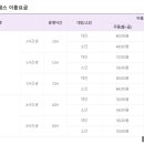 비발디렌통령 이미지