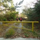 헌복동1 이미지