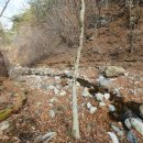 금강송면사무소 이미지