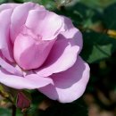 포항시북구4 이미지