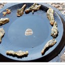 계절별미 이미지