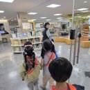 대전학생교육문화원 ＜피노키오＞ 이미지