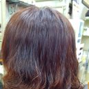 향기나라 이미지