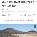 윤석열 조부 묘소에 인분·부적 저주 테러?..알아보니 이미지