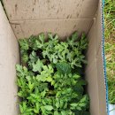 송가네종묘사 이미지